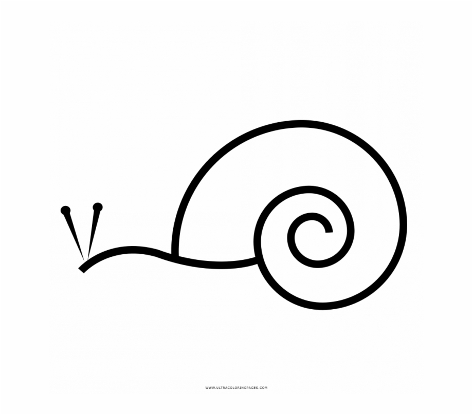 Medium Size Of Coloring Pages Snail Icon