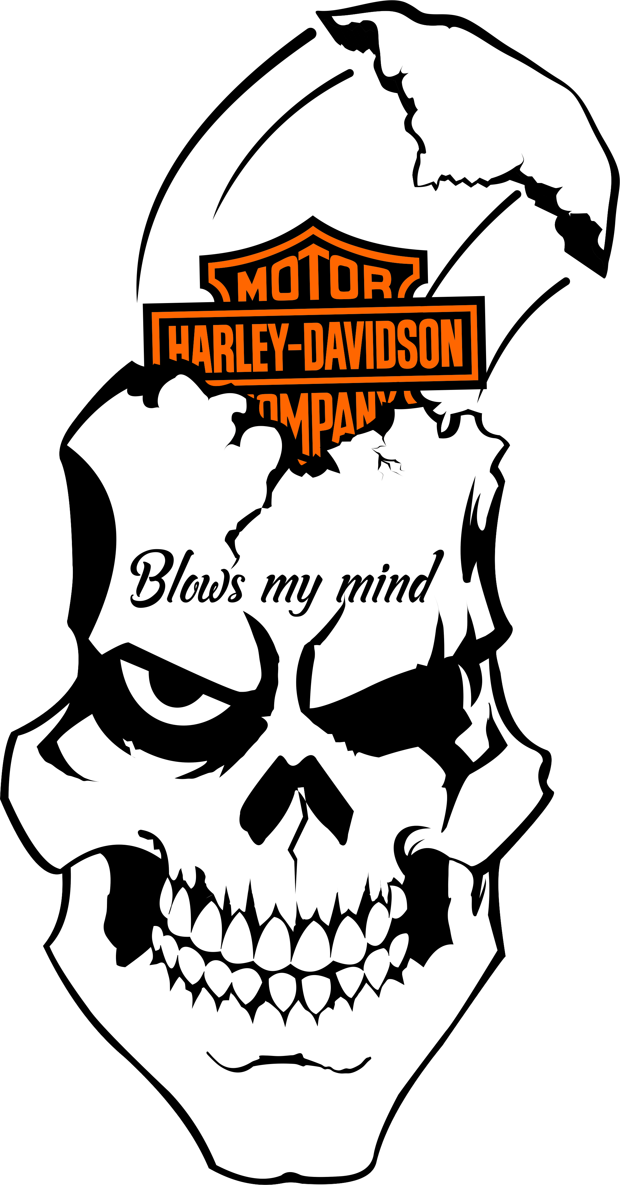 Harley Davidson Flaming Skull 8 Vinyl Decal By