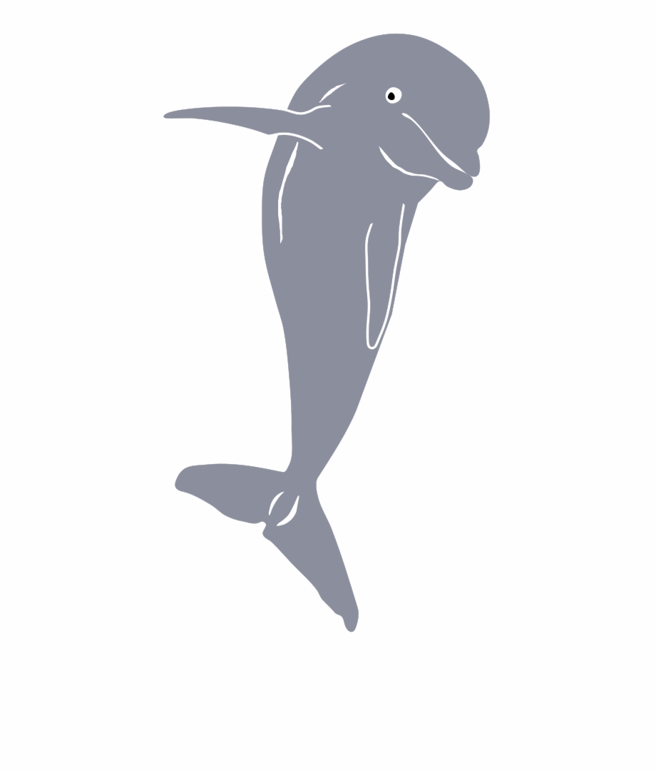 Dolphin Jumping Front Front Dolphin Vector