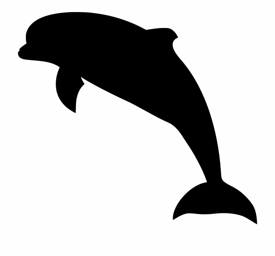 Download Png Dolphin Vector