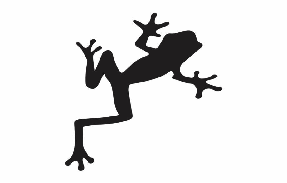 Frog Tree Frog Silhouette