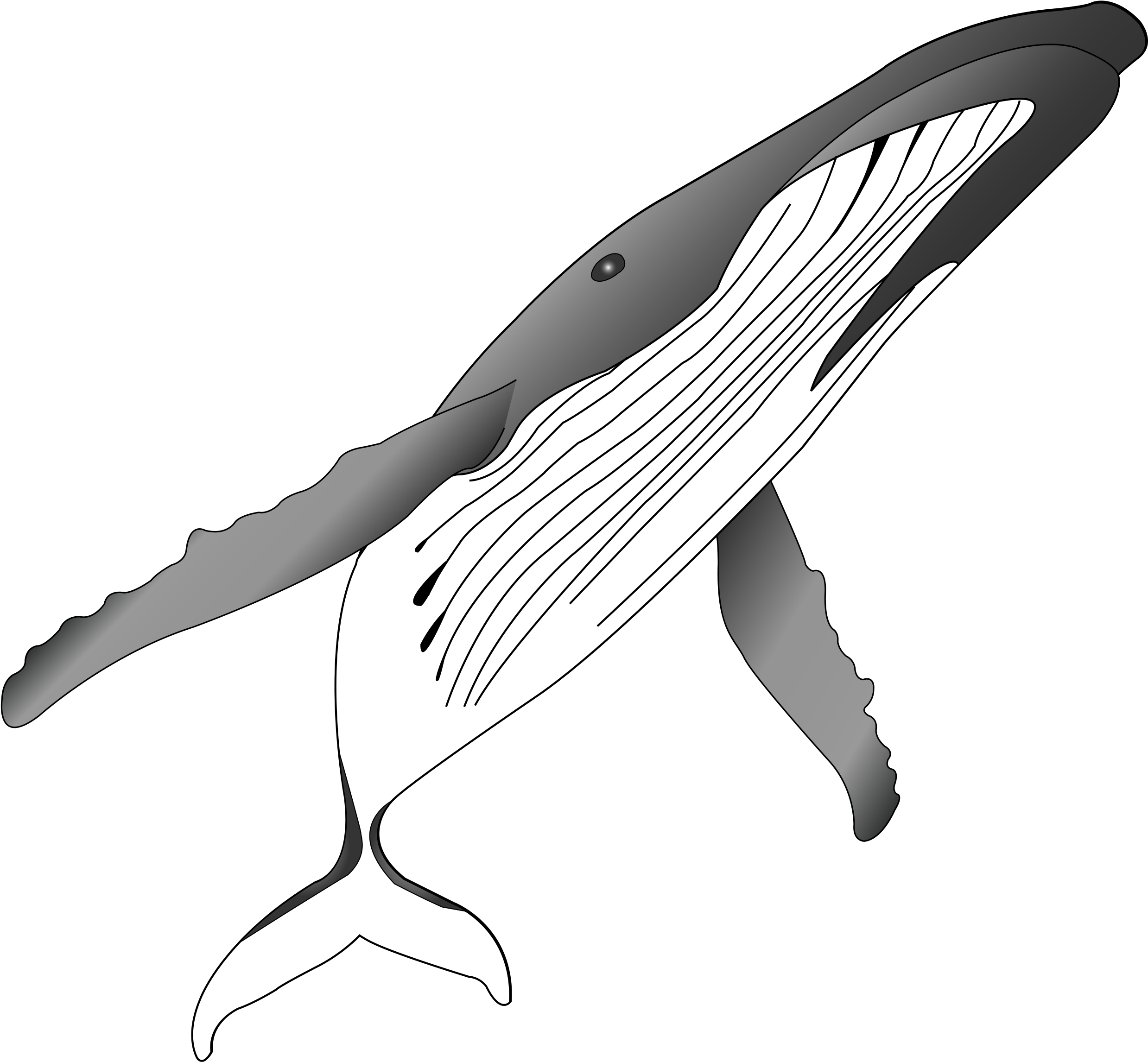 Png Royalty Free Stock Humpback Whale Clipart Humpback