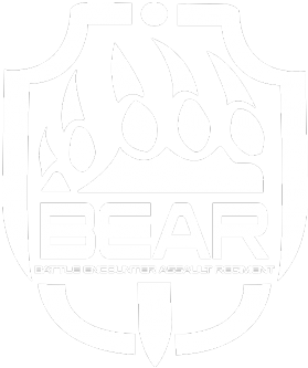 Bear Logo Hollow Sketch