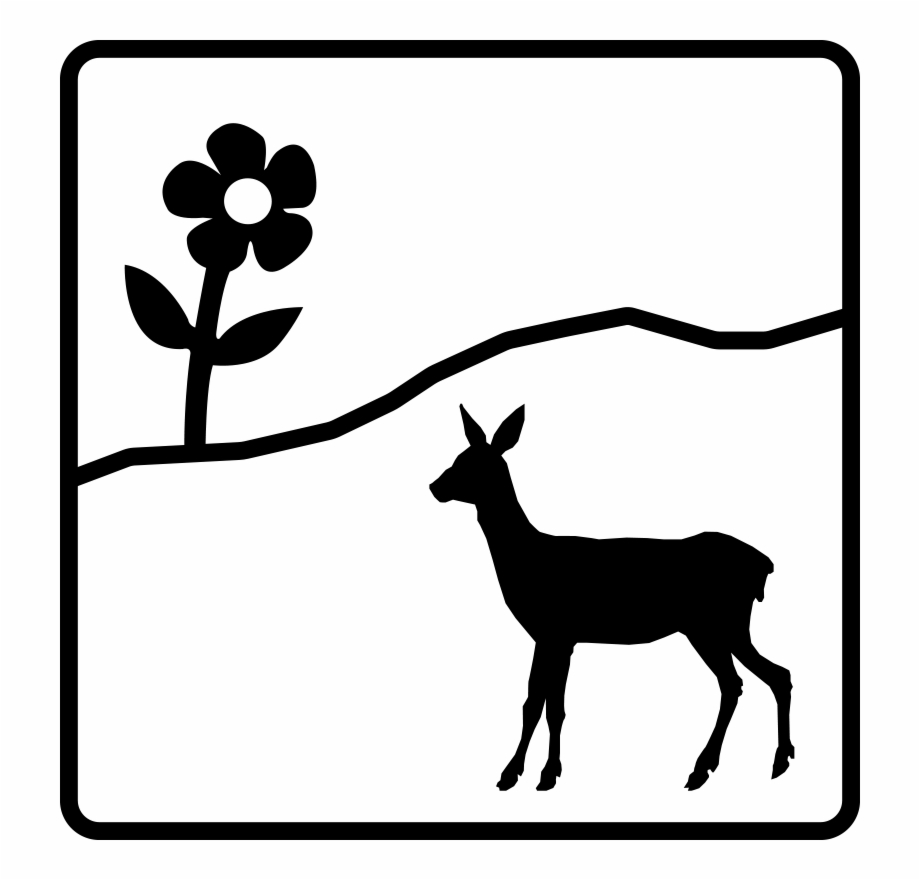 Schutz Roe Deer