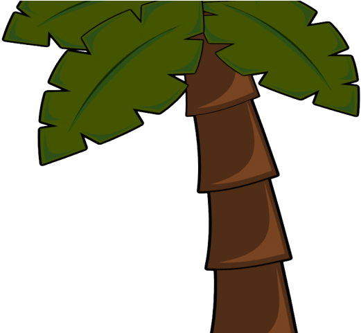 Palm Tree Clipart Colorful Jungle Tree Clipart