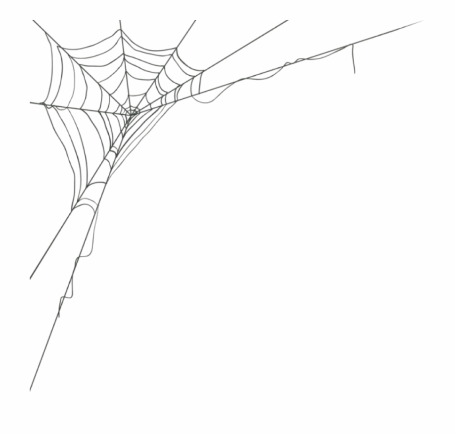 Cobwebs Transparent Drawing Spider Web Corner Png