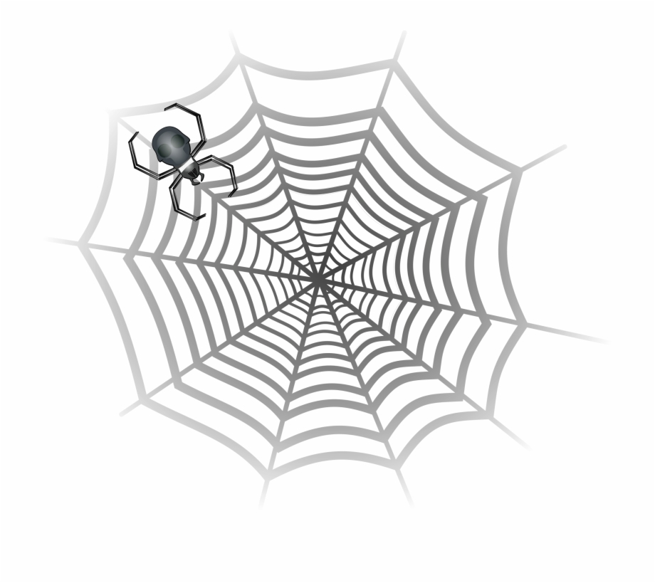 Png Big Image Png Gray Spider In Web
