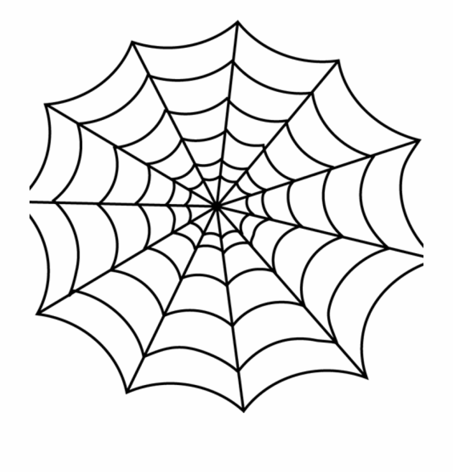 transparent spider web clipart
