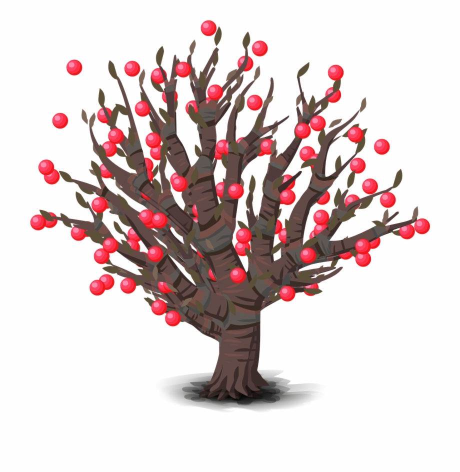 Trees Red Berries Fruits Woods Png Image Ranting