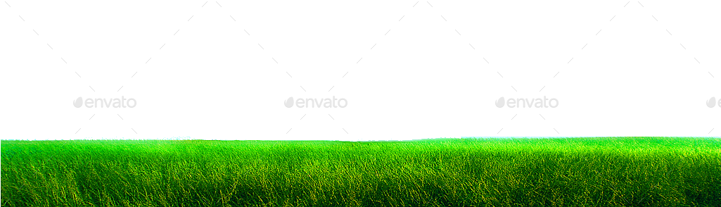 Preview Grass Ground With Transparent Background