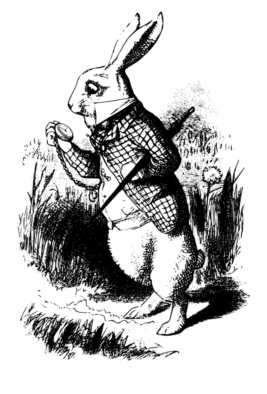 white rabbit alice in wonderland book
