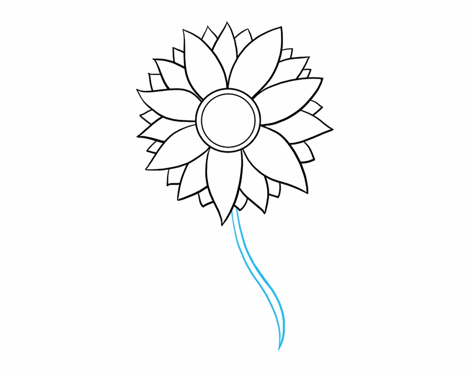flowers easy drawing png
