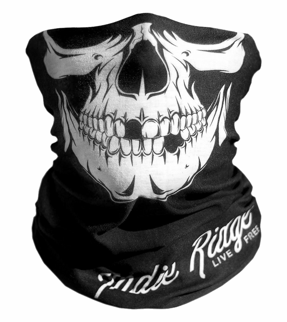 skull motorcycle face mask
