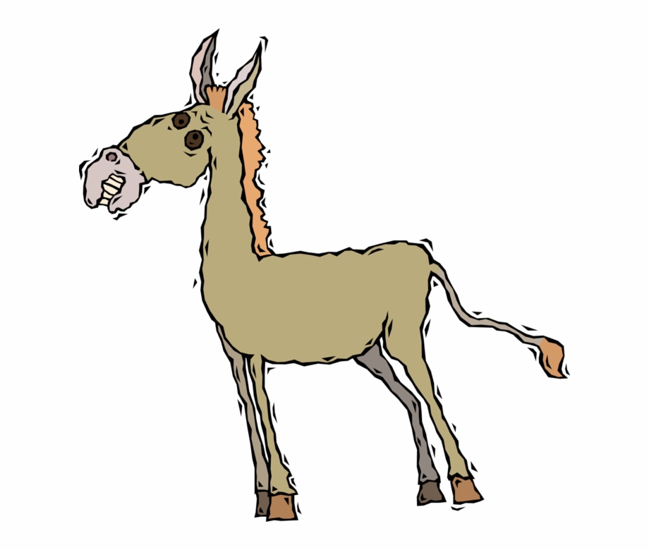 Vector Illustration Of Jackass Male Donkey Ass Domesticated