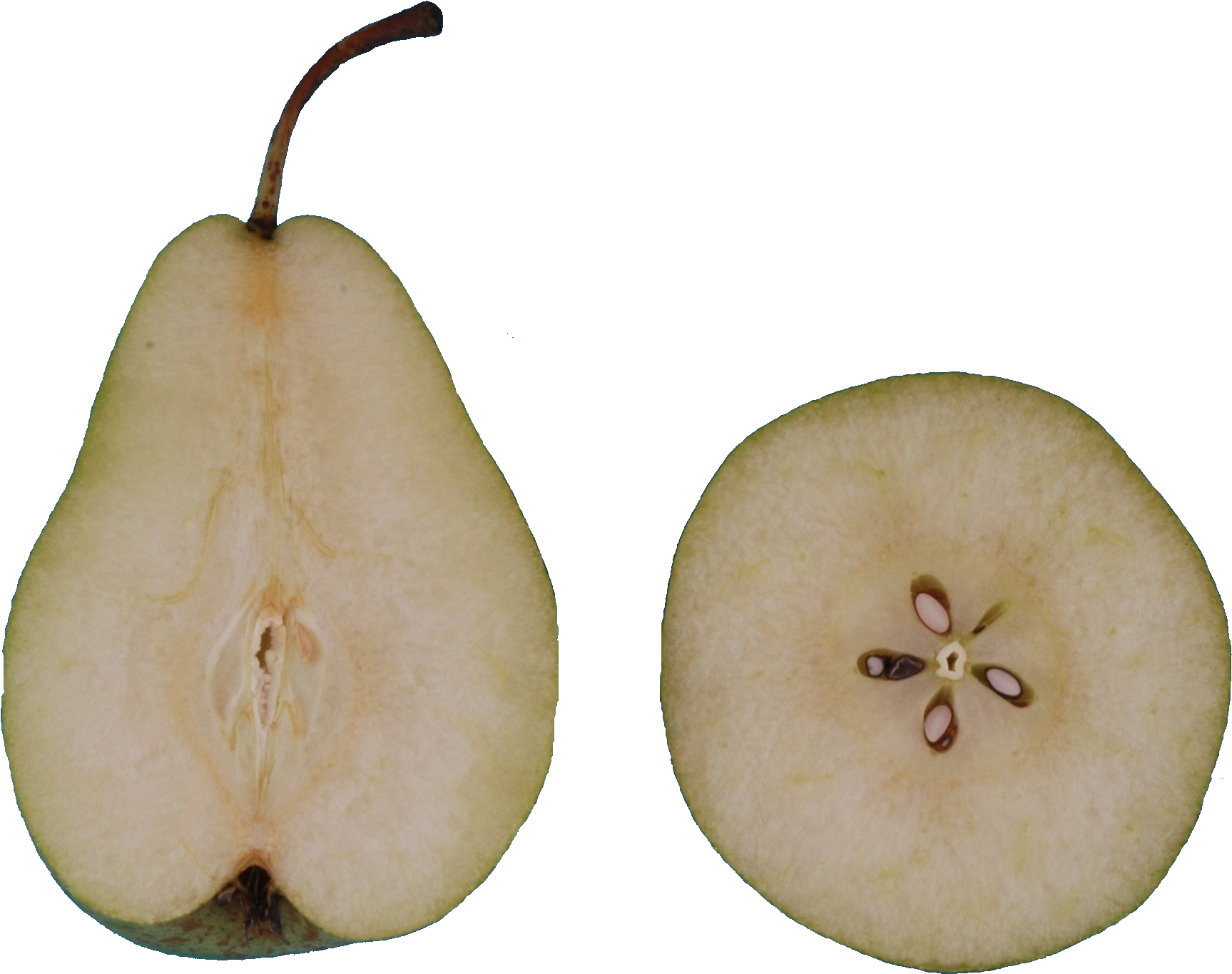 Flesh Asian Pear
