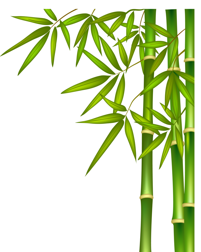 Bamboo Png - Clip Art Library