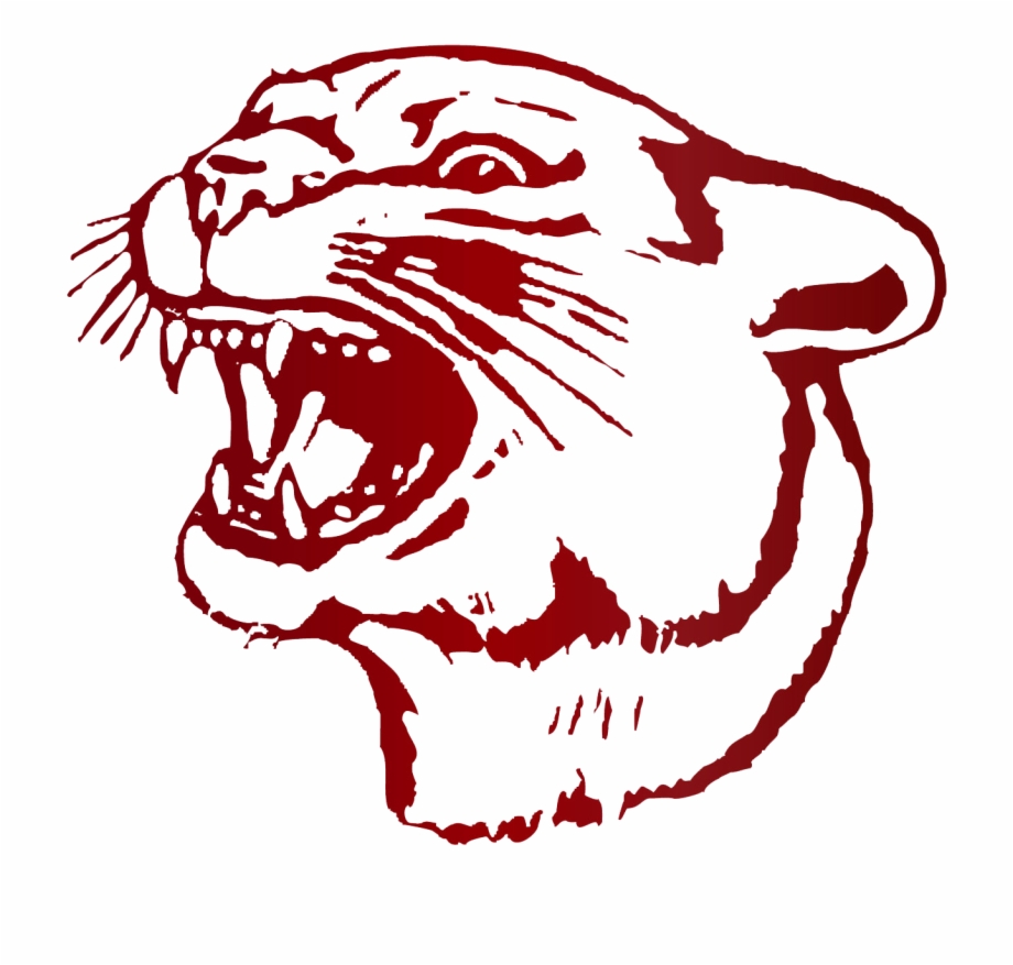 Cougar Png South Decatur High School