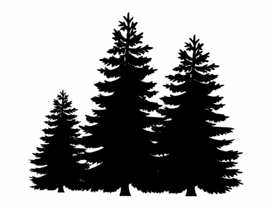 Permalink To Pine Tree Clip Art Winter Clipart