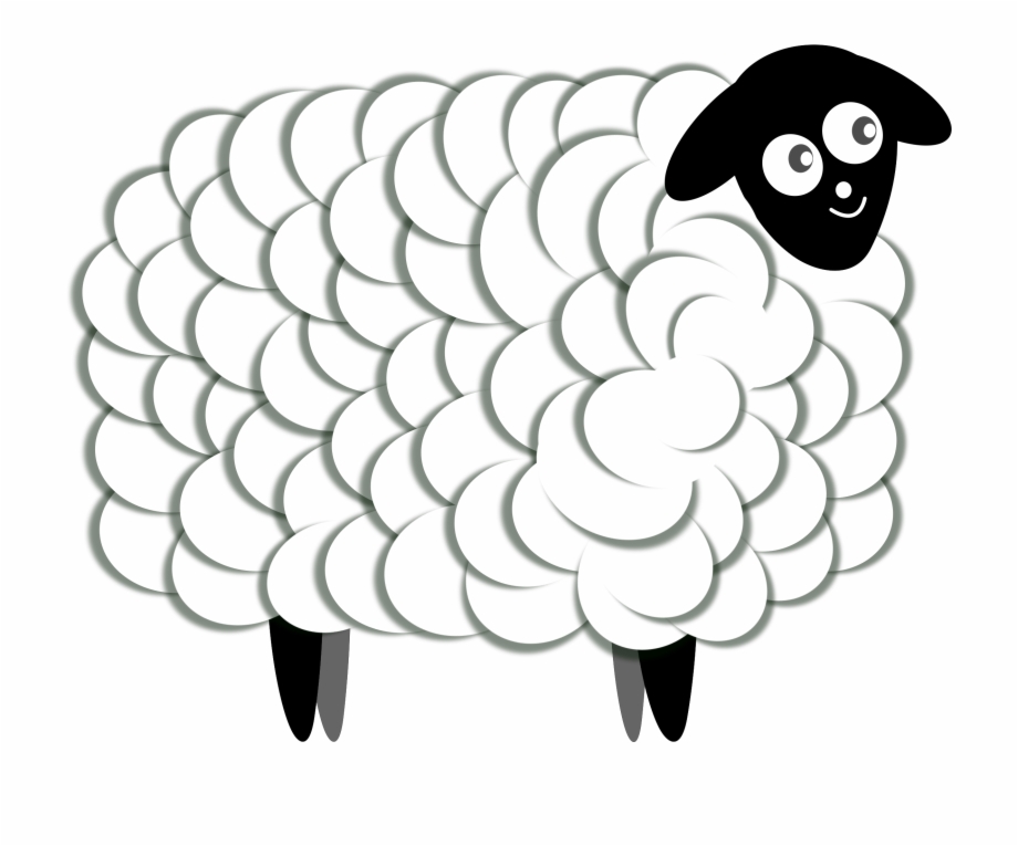 Drawing Sheep Color Clip Art