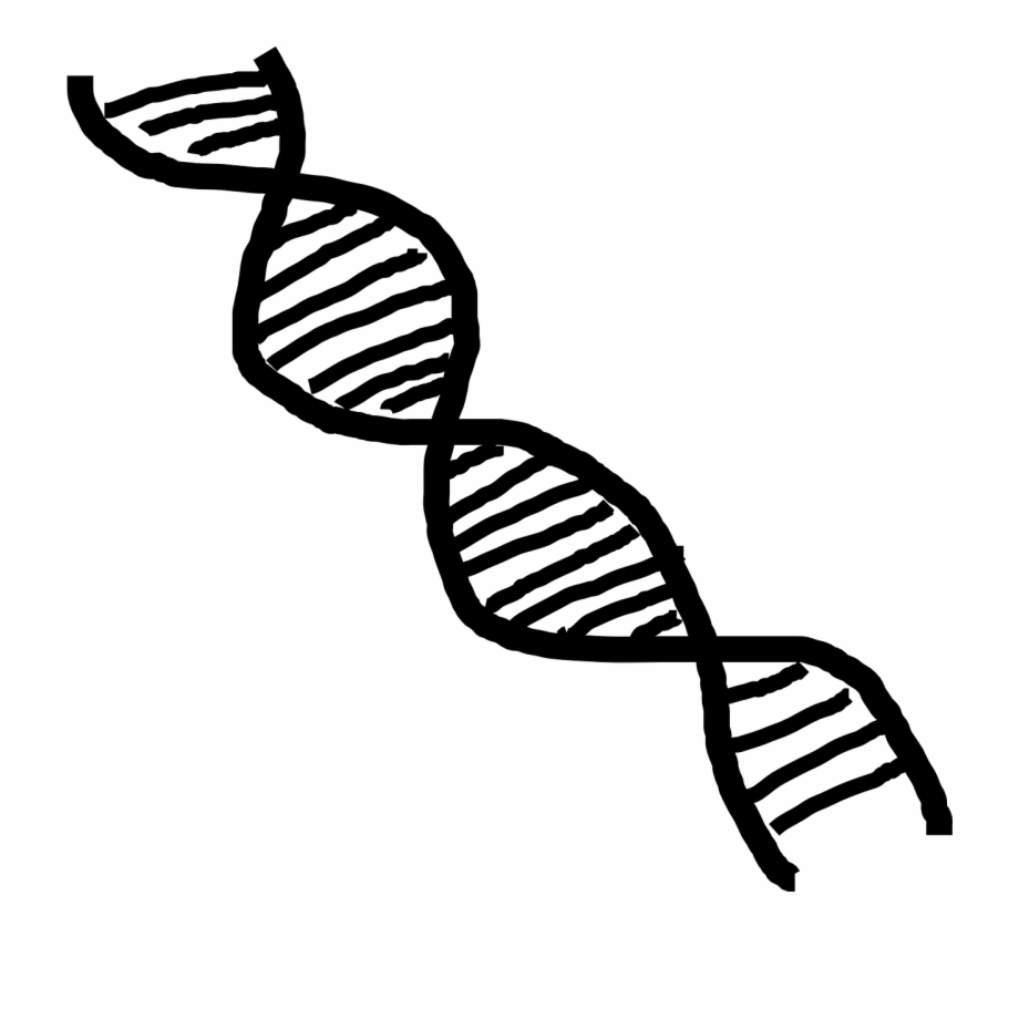 Dna Double Helix Helix Science Png Image Dna