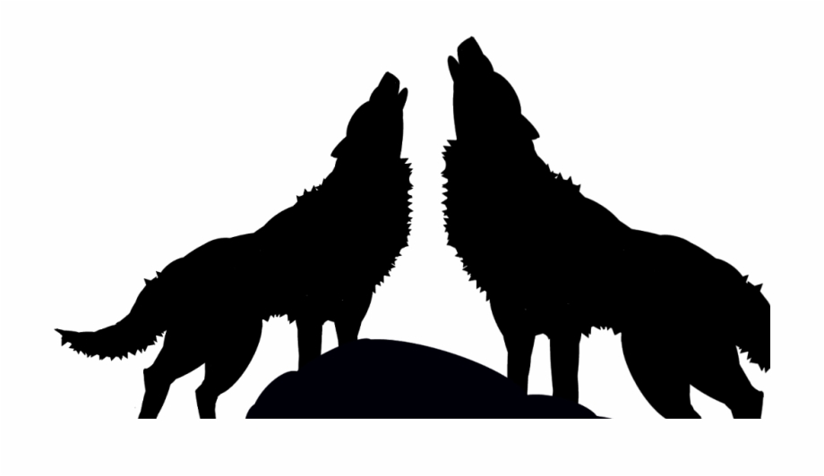 Wolf Sillhouette Scsilhouette Black Wolves Dog