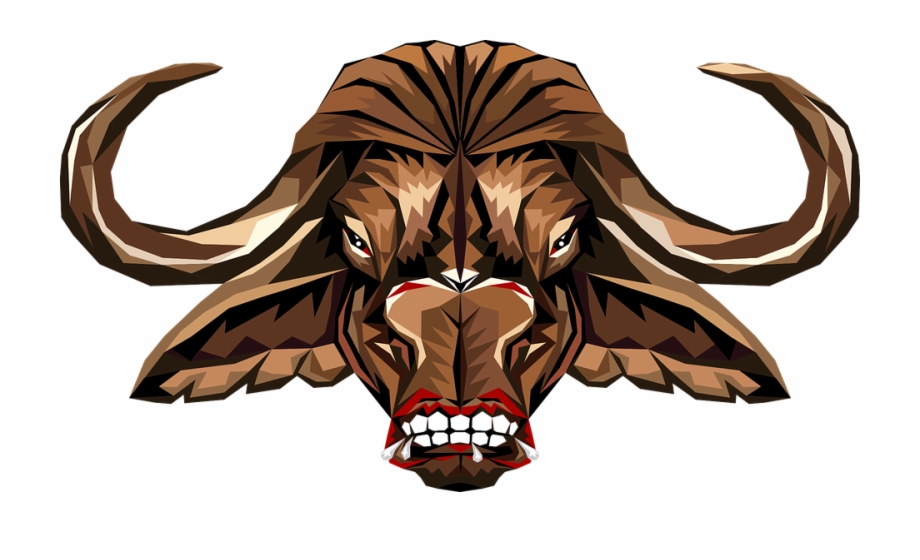Head Animal Buffalo Nature Stylized Comic Cabea De