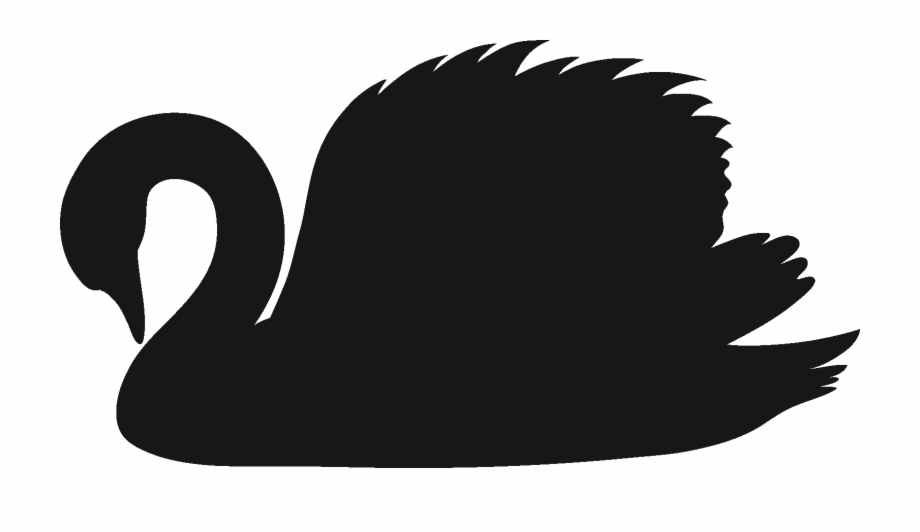 Black And White Swan Png