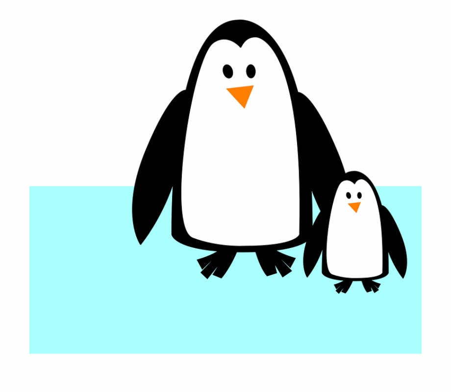 Penguins Animal Baby Penguin Cartoon Black And White