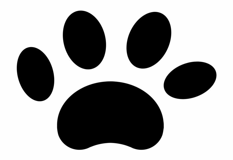cat paw png
