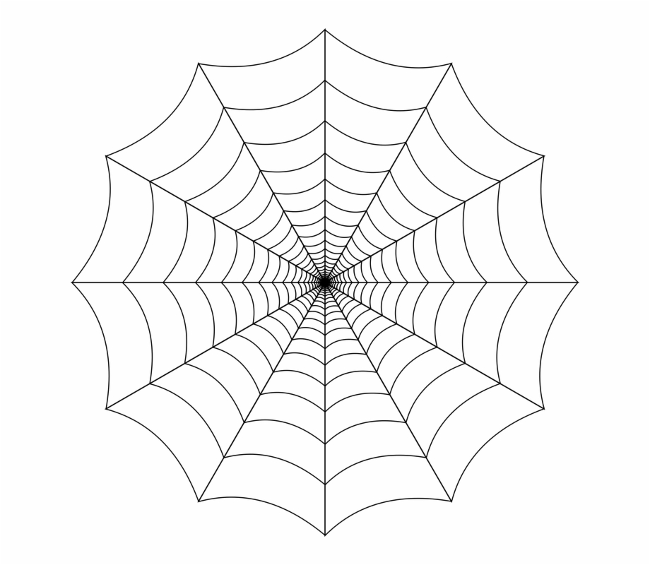 Spider Web Cobweb Spider Web Nature Trap Insect
