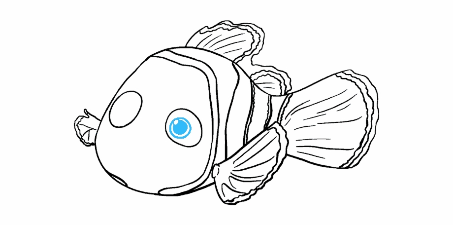 How To Draw Nemo In A Few Easy