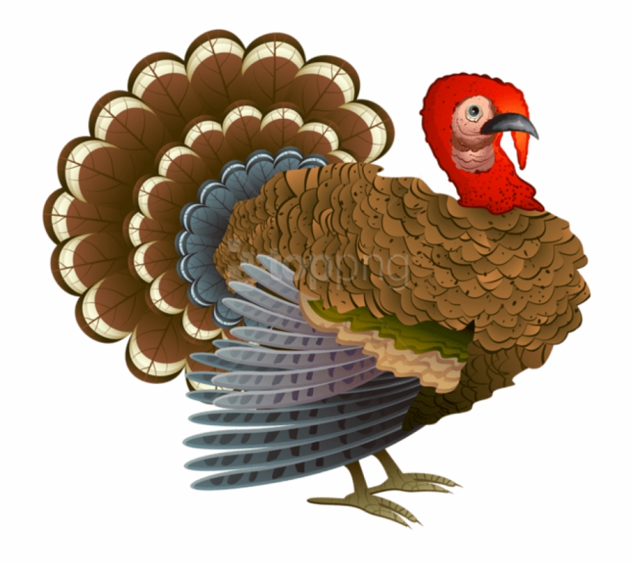 Download Images Background Toppng Transparent Background Clipart Turkey