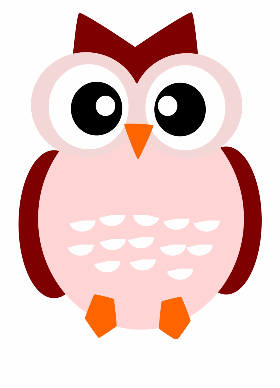 Owl Cartoon Png Gallery Owl Cartoon Png