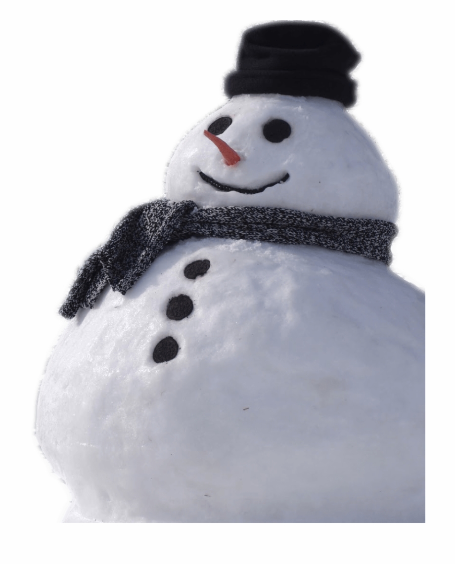 Snowman Real Real Snowman Transparent Background