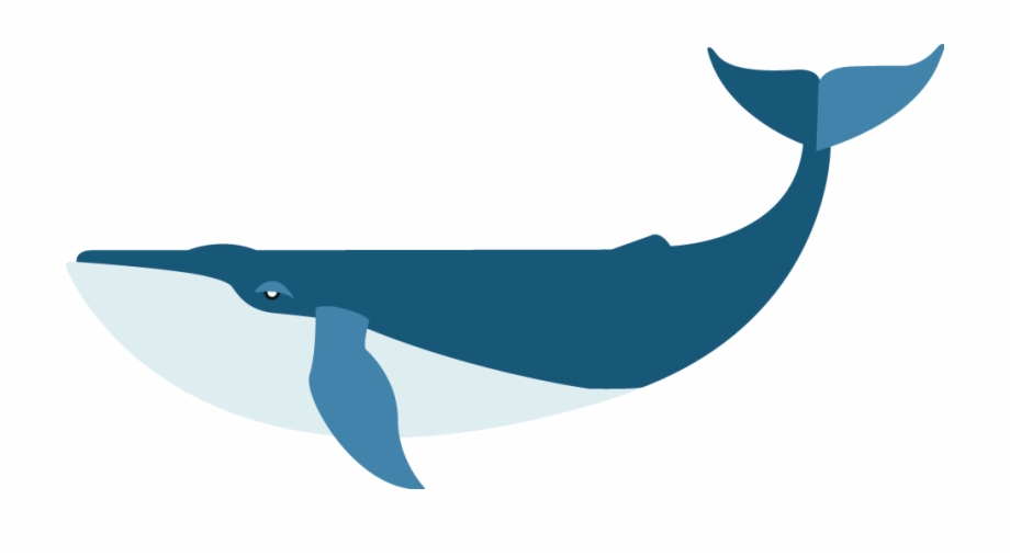 Flat Blue Whale Whale Flat Design Png