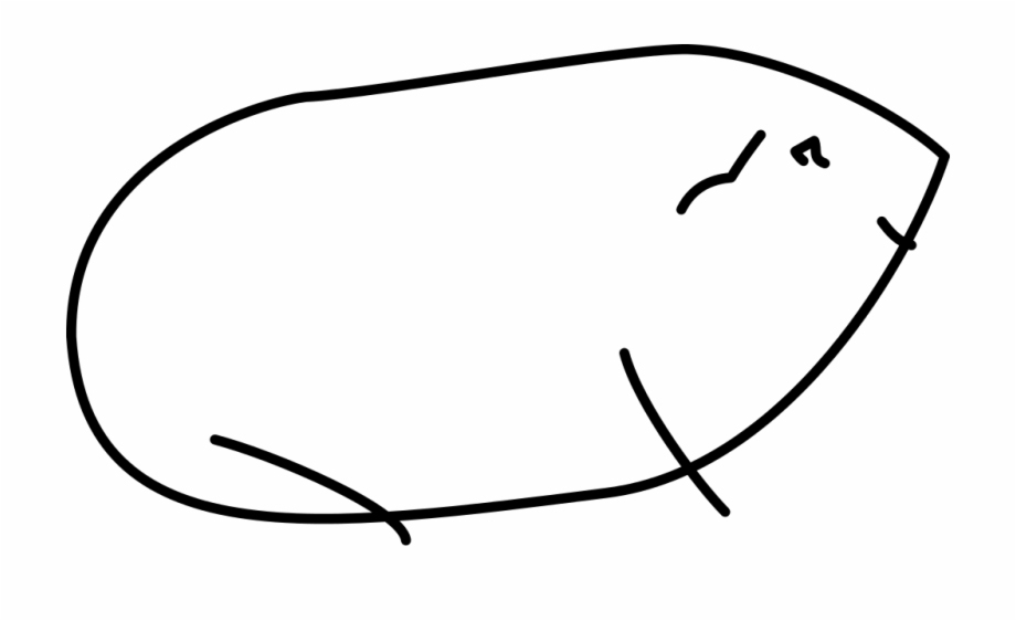Guinea Pig Lineart Sketch Guinea Pig Sketch