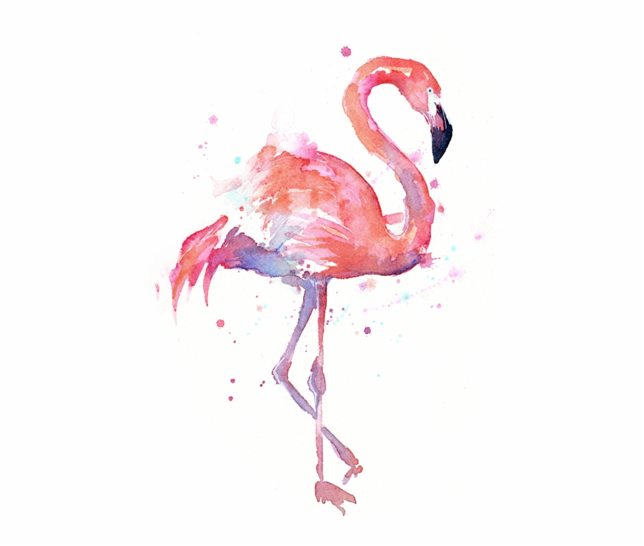 Flamingo Transparent Painted Picture Watercolor Flamingo