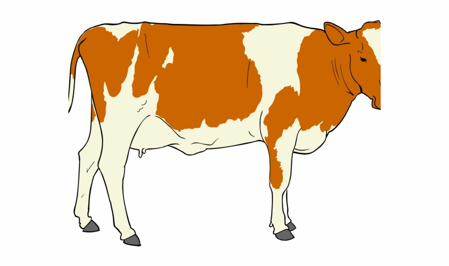 Beef Clipart Realistic Male Cow Clipart