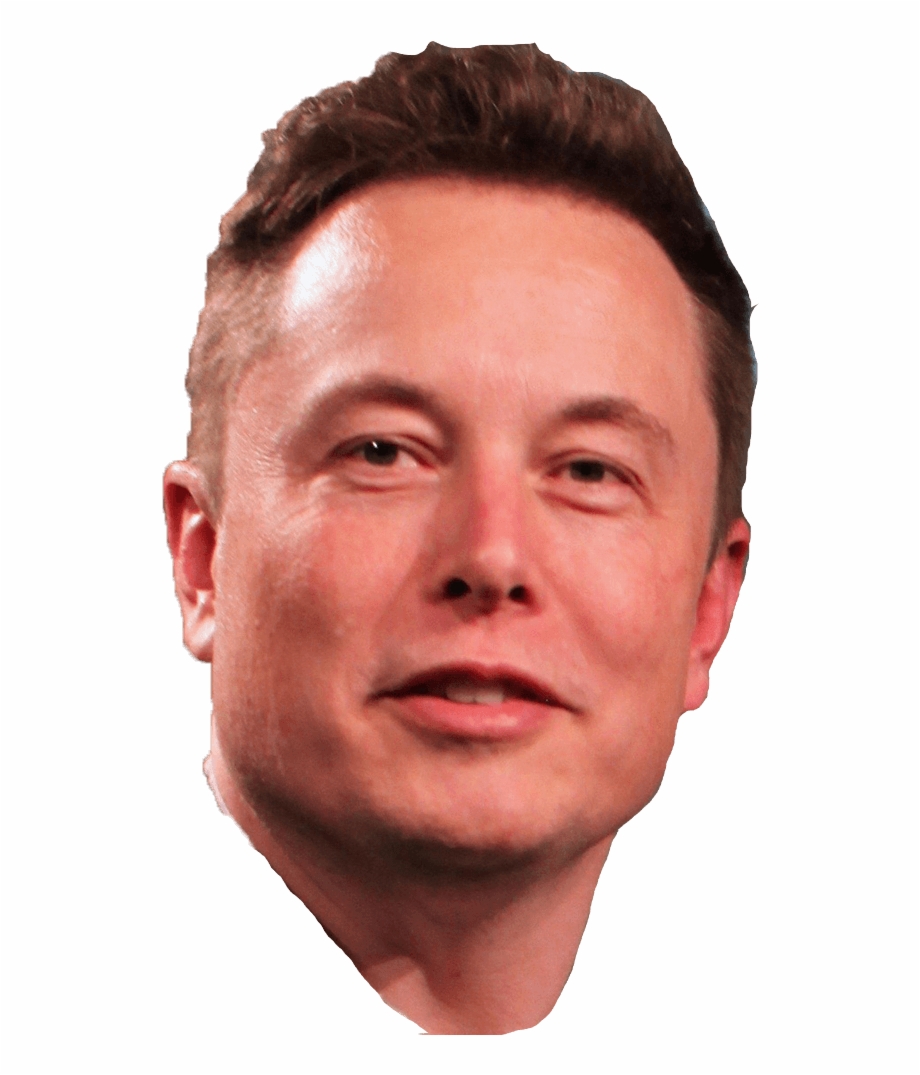 Elon Musk Transparent Elon Musk Head Png