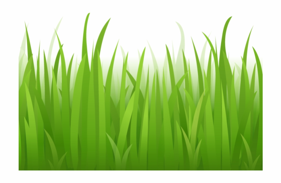 Grass Clipart Photo Gallery Grass Clipart No Background
