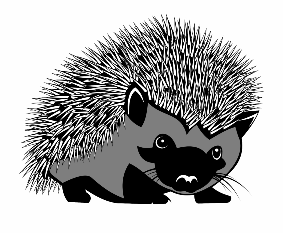 Hedgehog Png Transparent Image Hedgehog Coat Of Arms