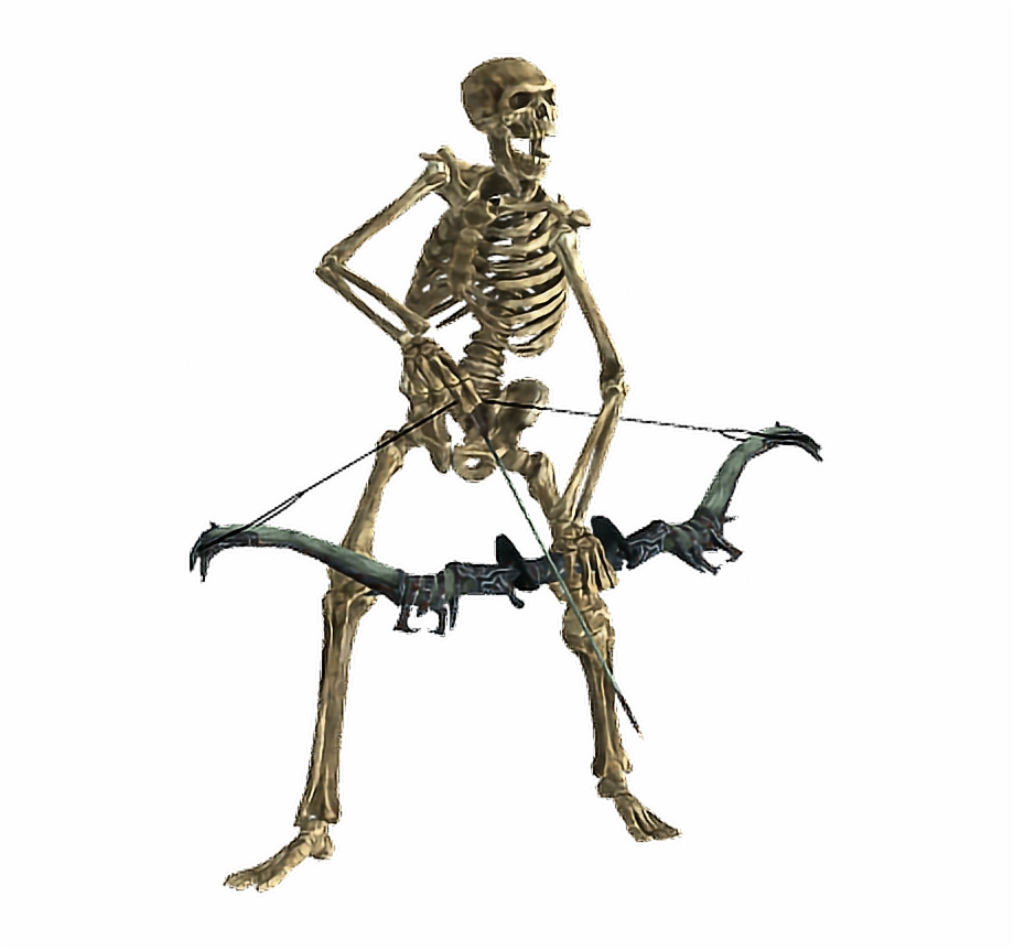 Skeleton Archer Skeleton With Bow And Arrow