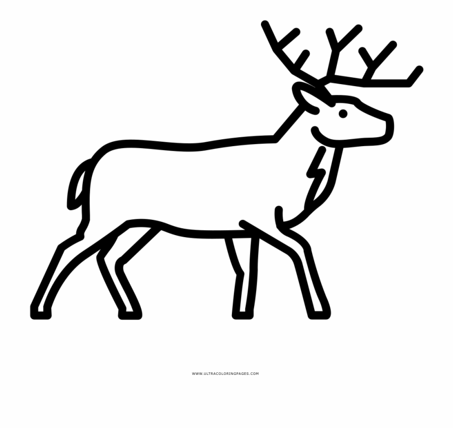 Deer Coloring Page Drawing