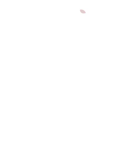 Apple Logo Png Transparent Background Heart