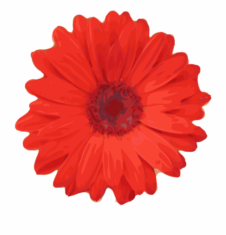 Daisy Flower Png Red Flower Clip Art