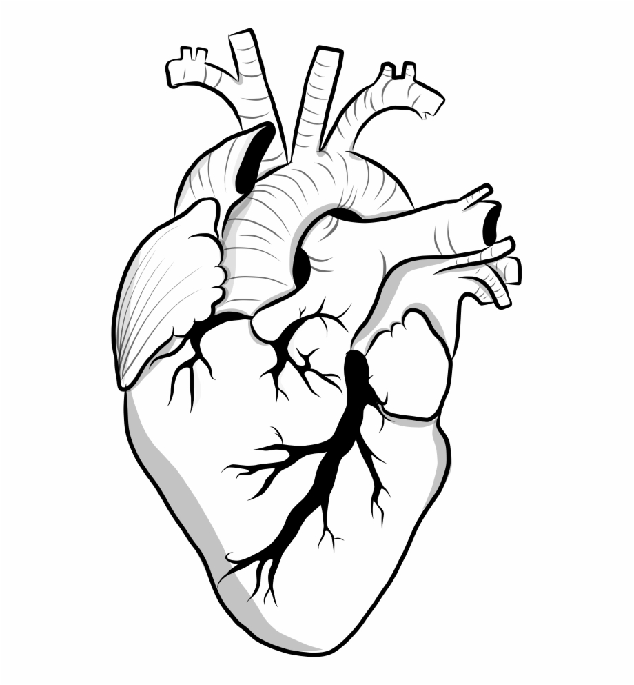 Heart Adobedraw Love Outline Doodle Tumblr Aesthetic