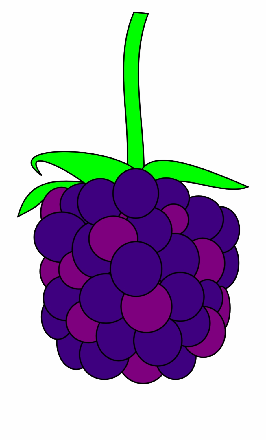 Blackberry Fruit Fresh Berry Design Black Berry Clipart