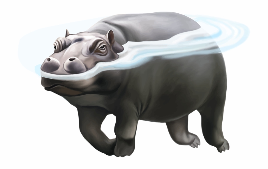 Hippo Png Picture Gray Colour Animals