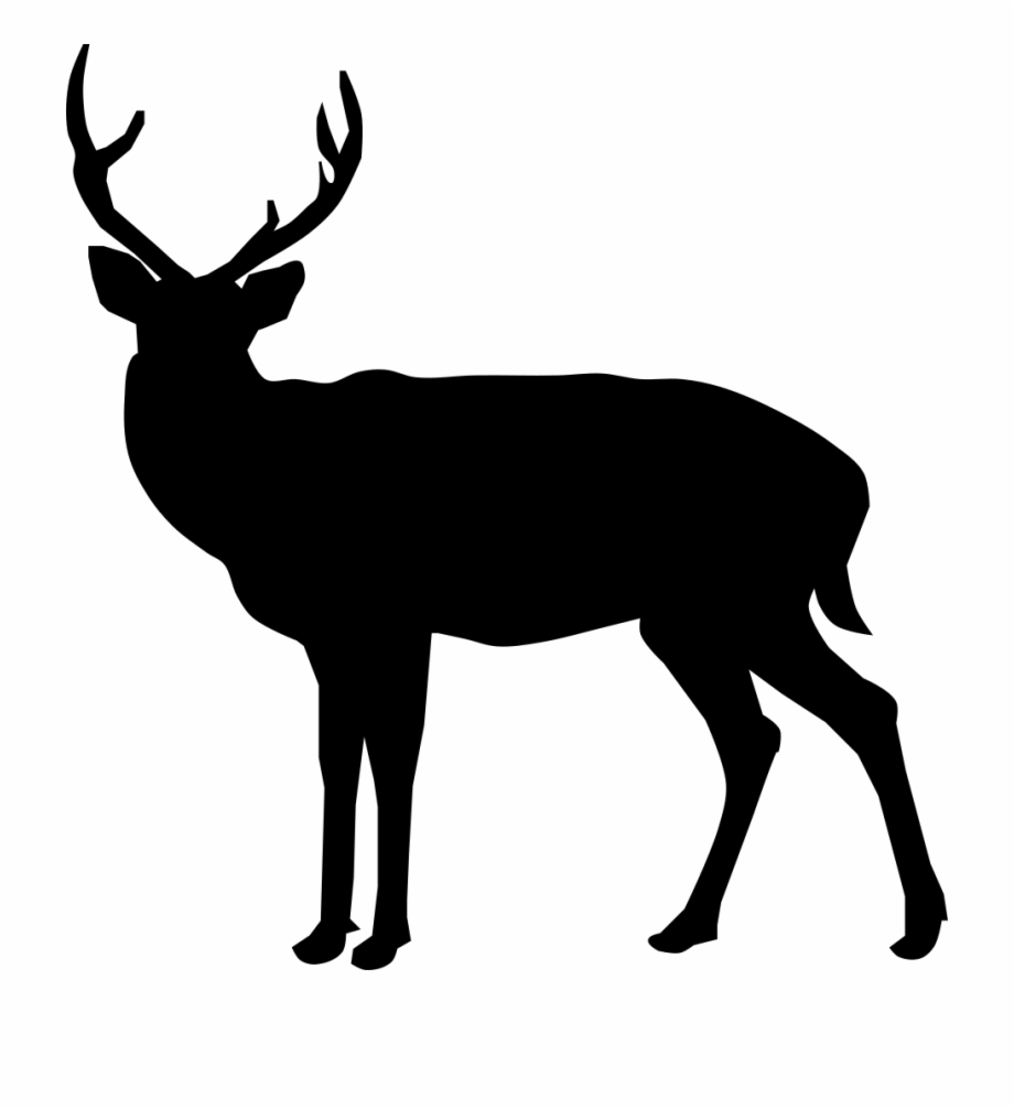 Buck Deer Silhouette Black Deer Transparent