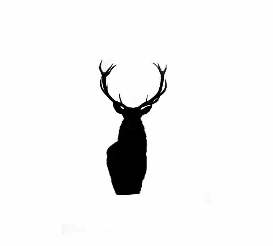 Animalsilhouette Blacksilhouette Deer Black Silhouette Black And White